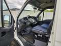 Iveco Daily 35C12 410 DC - thumbnail 22