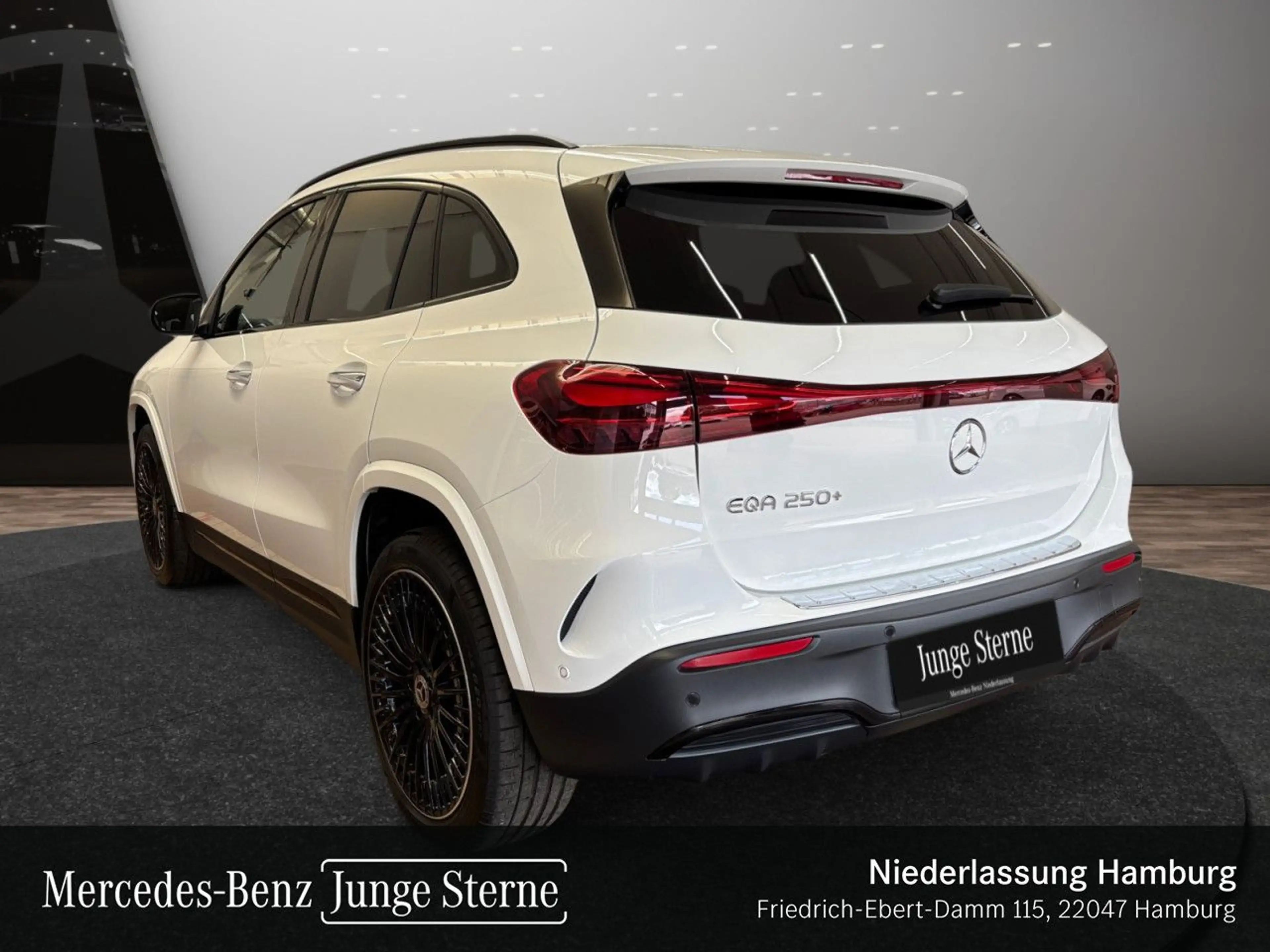 Mercedes-Benz EQA 250 AMG+NIGHT+PREMIUM+AHK+PANO+360+MEMORY+HUD — photo 10