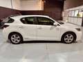 Lexus CT 200h Blanco - thumbnail 4
