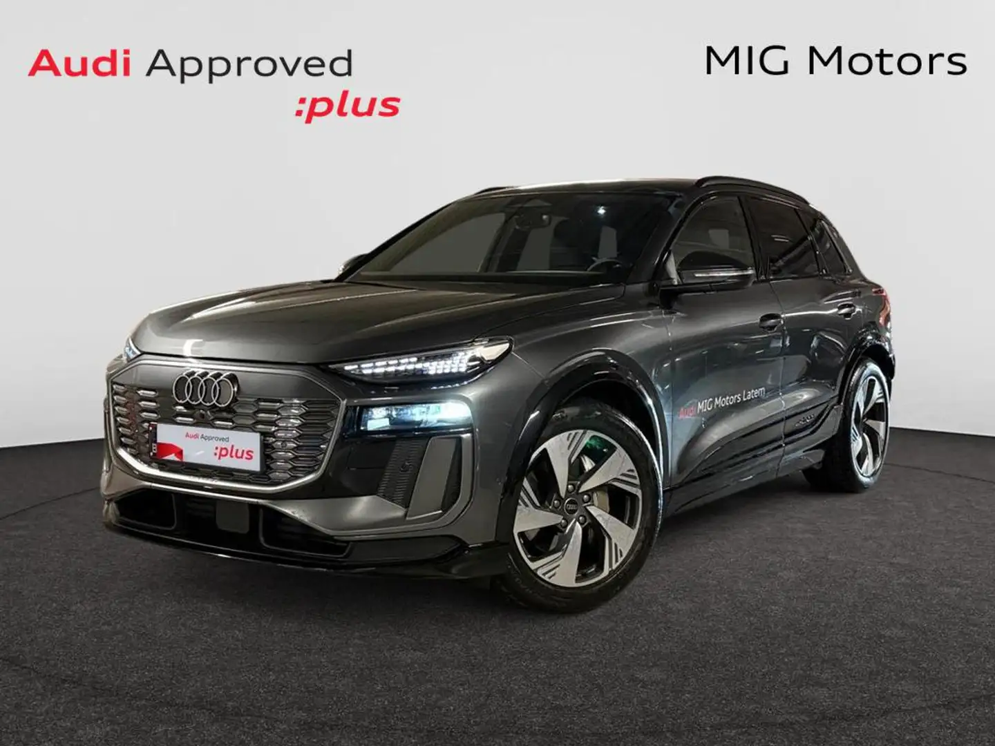 Audi Q6 e-tron Audi Q6 SUV S line e-tron performance  225, Gri - 1