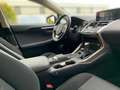 Lexus NX 300h 2.5 Hybrid Amazing Edition LED KAMERA Silber - thumbnail 6