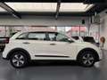 Kia Niro 1.6 GDi Hybrid ExecutiveLine Wit - thumbnail 15