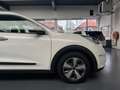 Kia Niro 1.6 GDi Hybrid ExecutiveLine Wit - thumbnail 17