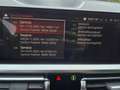 BMW 320 x SP Line LiveP Pano Laser STHZ Hifi ACC Kam Grau - thumbnail 21