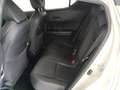 Toyota C-HR 180H Advance Blanco - thumbnail 12