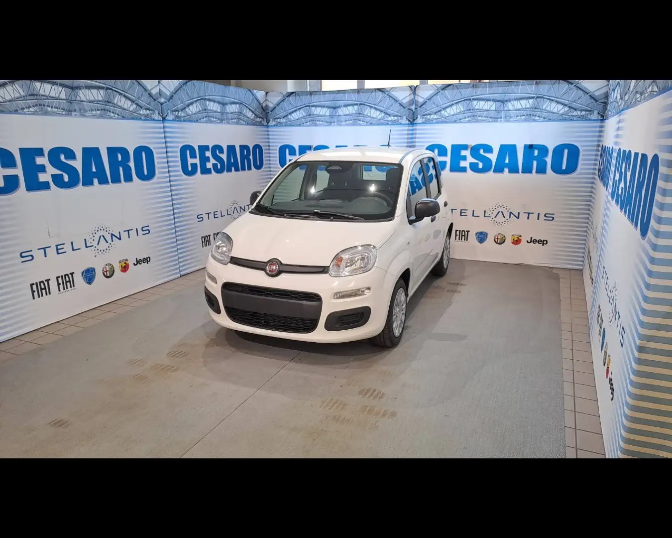 Fiat Panda 1.0 FireFly Hybrid Icon Wit - 2