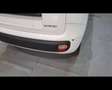 Fiat Panda 1.0 FireFly Hybrid Icon Wit - thumbnail 14