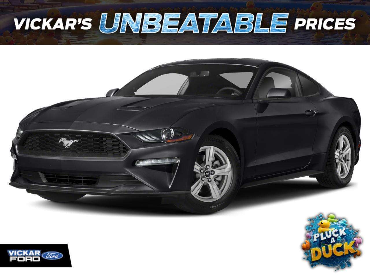 Black 2019 Ford Mustang Coupe Rear-Wheel Drive Automatic