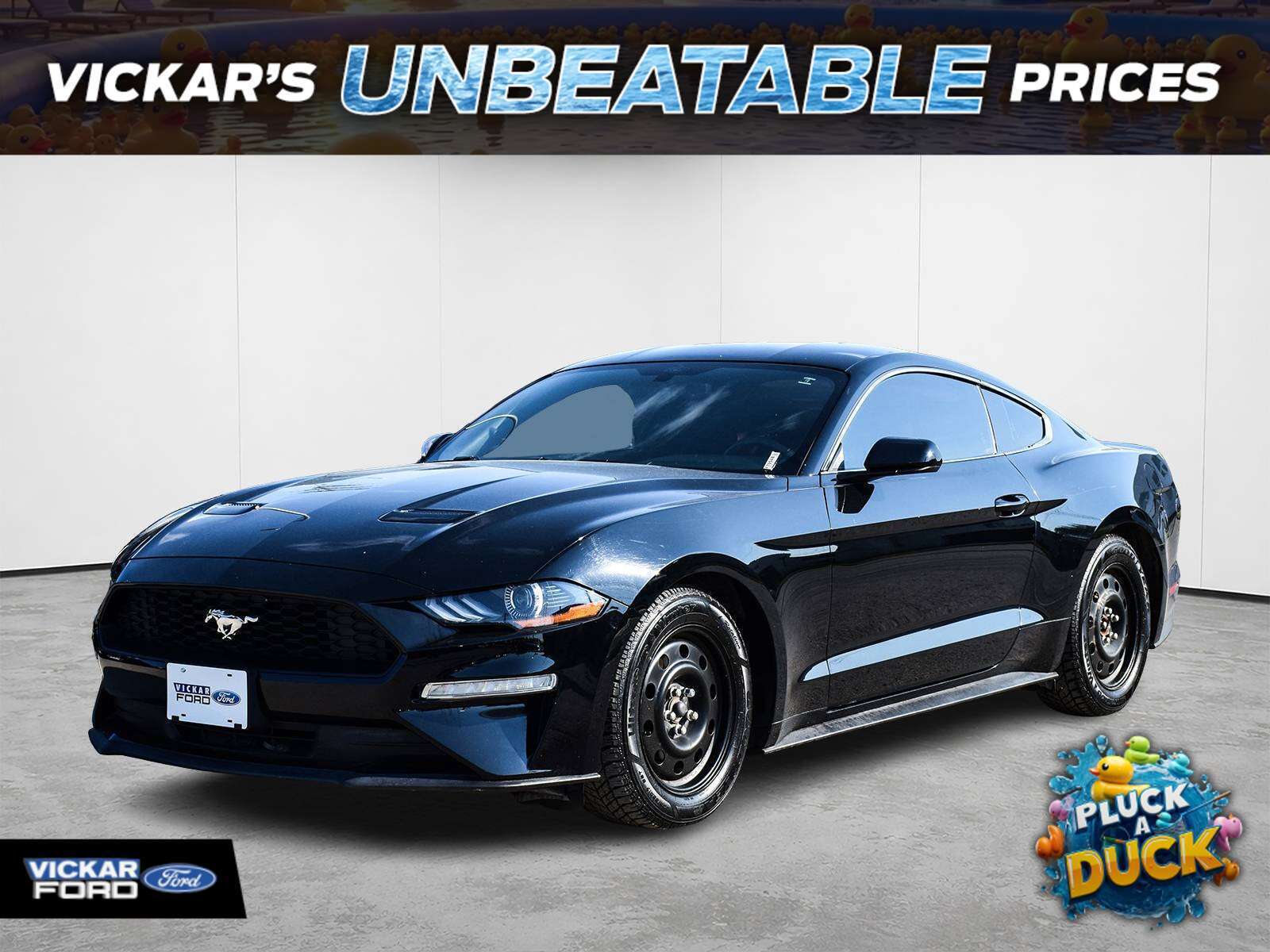 Black 2019 Ford Mustang Coupe Rear-Wheel Drive Automatic