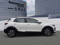 Kia Stonic 1,0 T-GDi DCT Vision Navi Weiß - thumbnail 7