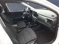 Kia Stonic 1,0 T-GDi DCT Vision Navi Blanc - thumbnail 12