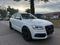 Audi SQ5 3.0 TDI competition tiptronic quattro Alb - thumbnail 1
