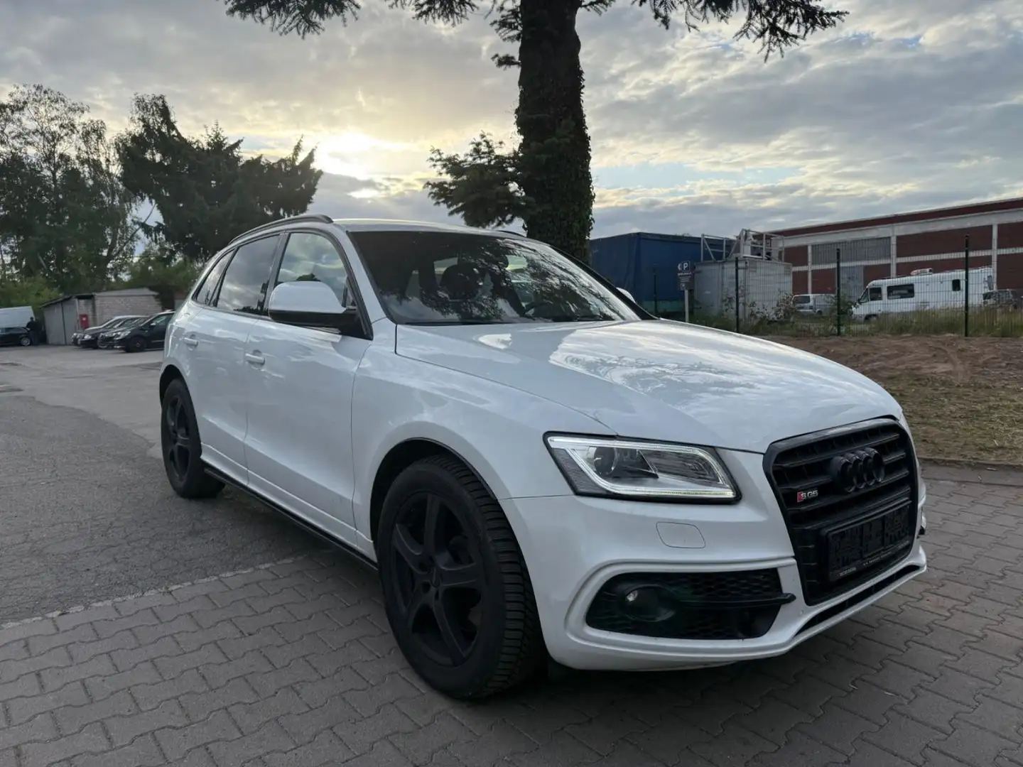 Audi SQ5 3.0 TDI competition tiptronic quattro Alb - 1