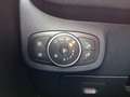 Ford Fiesta 1.0 MHEV ST-LINE X *LED*PanoDach*ACC* Schwarz - thumbnail 19
