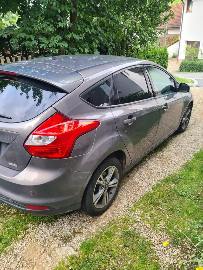 Ford Focus Champions Edition Braun - 1