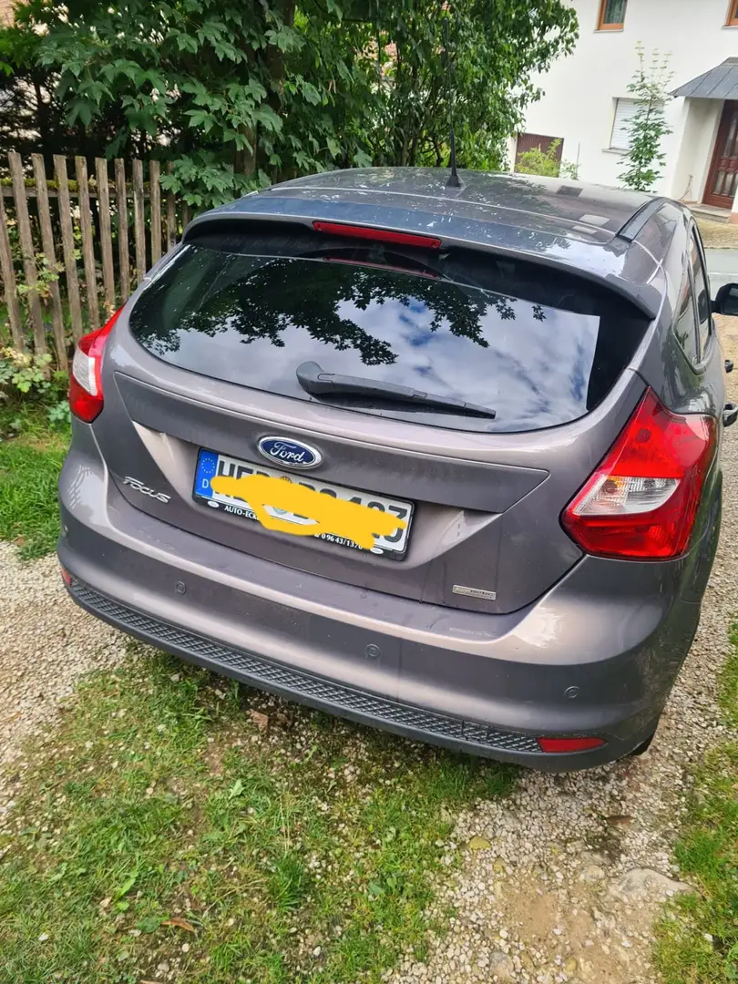 Ford Focus Champions Edition Braun - 2