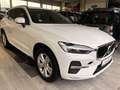 Volvo XC60 B4 B Geartronic Momentum Pro Weiß - thumbnail 6