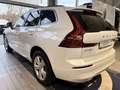 Volvo XC60 B4 B Geartronic Momentum Pro Weiß - thumbnail 2