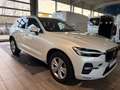 Volvo XC60 B4 B Geartronic Momentum Pro Weiß - thumbnail 7