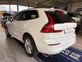 Volvo XC60 B4 B Geartronic Momentum Pro Weiß - thumbnail 2