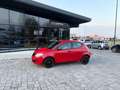 Lancia Ypsilon 1.0 Hybrid Ecochic  ANCHE PER NEOPATENTATI Rosso - thumbnail 4