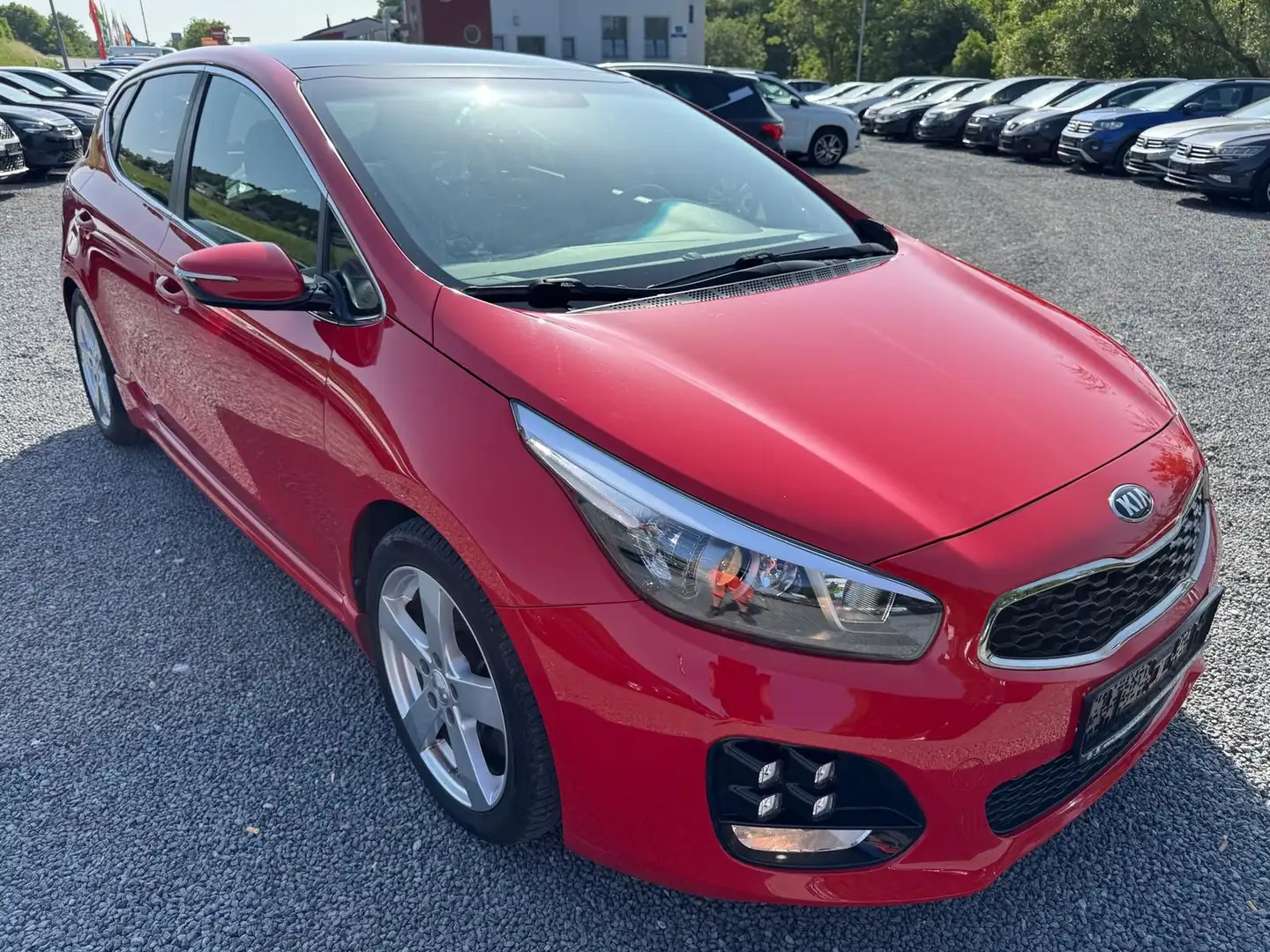 Kia Ceed / cee'd Ceed 1.6 CRDi *GT-Line*PDCHI+KAMERA*TEMPOMAT*SHZ Rot - 1