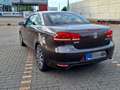 Volkswagen Eos Eos 2.0 TDI DPF DSG NAVI BT Vollleder N/R Maro - thumbnail 7