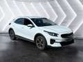 Kia XCeed 1.6 Vision Matrix AUT HUD Kam. KlimaA Navi Wit - thumbnail 8