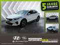 Kia XCeed 1.6 Vision Matrix AUT HUD Kam. KlimaA Navi Weiß - thumbnail 1