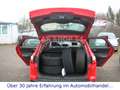 Ford Focus Turnier Trend   -XENON/NAVI/SHZ/PDC/TOP- Rot - thumbnail 7