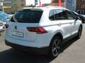 Volkswagen Tiguan 1.5 TSI DSG ACTIVE,LED,Navi,ACC,Rear View Weiß - thumbnail 3