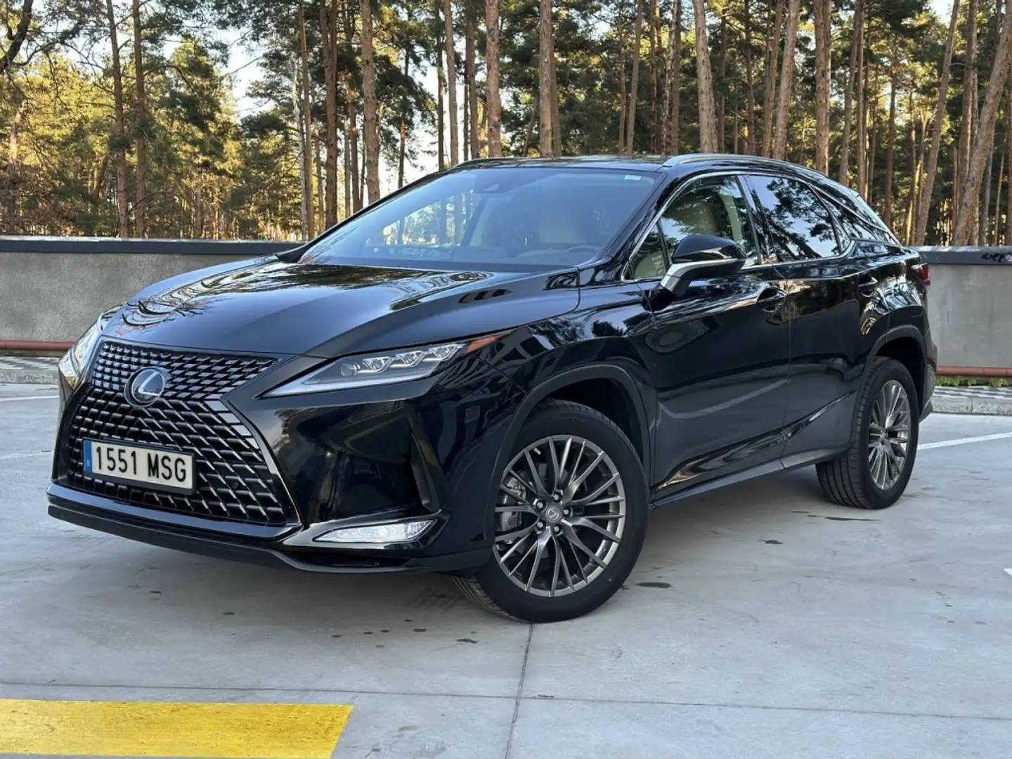 Lexus RX 450h Luxury Noir - 1