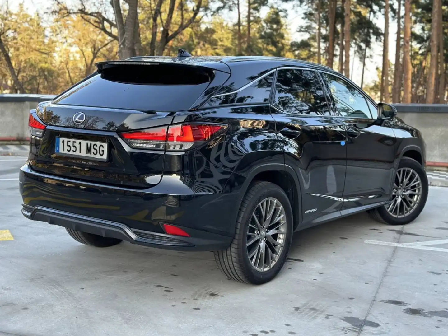 Lexus RX 450h Luxury Noir - 2