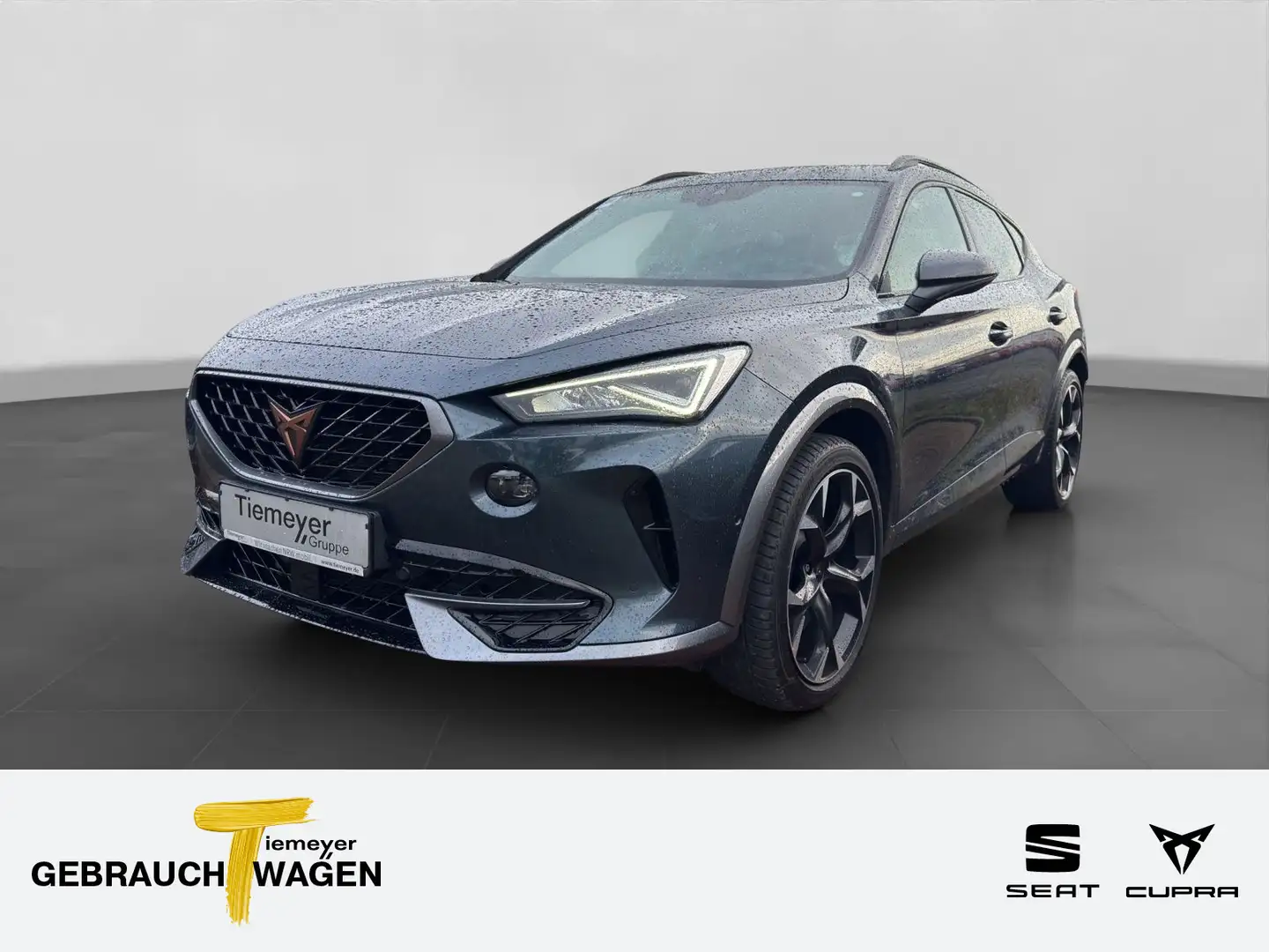 CUPRA Formentor 2.0 TSI DSG 4D VZ KAMERA PANO AHK Grau - 1