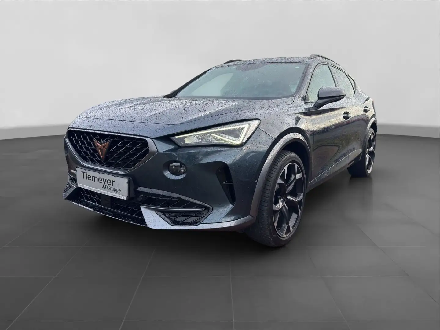 CUPRA Formentor 2.0 TSI DSG 4D VZ KAMERA PANO AHK Grau - 2