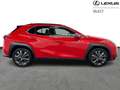 Lexus UX 250h F Sport Design Rosso - thumbnail 16