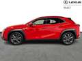 Lexus UX 250h F Sport Design Rosso - thumbnail 5