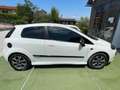 Fiat Punto Evo Punto III 2009 Evo 3p 1.3 mjt Active s Bianco - thumbnail 8