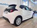 Toyota Yaris 1.5 Hybrid 5 porte Business Bianco - thumbnail 6