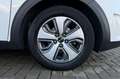 Kia Niro 1.6 GDi PHEV Plug-In Hybrid DynamicPlusLine | Lede Weiß - thumbnail 6