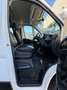 Fiat Ducato FIAT Industrial  Manual de 4 Puertas Blanco - thumbnail 23