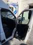 Fiat Ducato FIAT Industrial  Manual de 4 Puertas Blanco - thumbnail 16