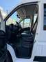Fiat Ducato FIAT Industrial  Manual de 4 Puertas Blanco - thumbnail 9