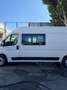 Fiat Ducato FIAT Industrial  Manual de 4 Puertas Blanco - thumbnail 4