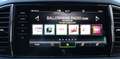 Skoda Karoq Skoda Karoq Top Selection 130Jahre 1.5 TSI, DSG Grau - thumbnail 13