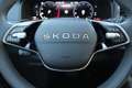 Skoda Karoq Skoda Karoq Top Selection 130Jahre 1.5 TSI, DSG Grau - thumbnail 12