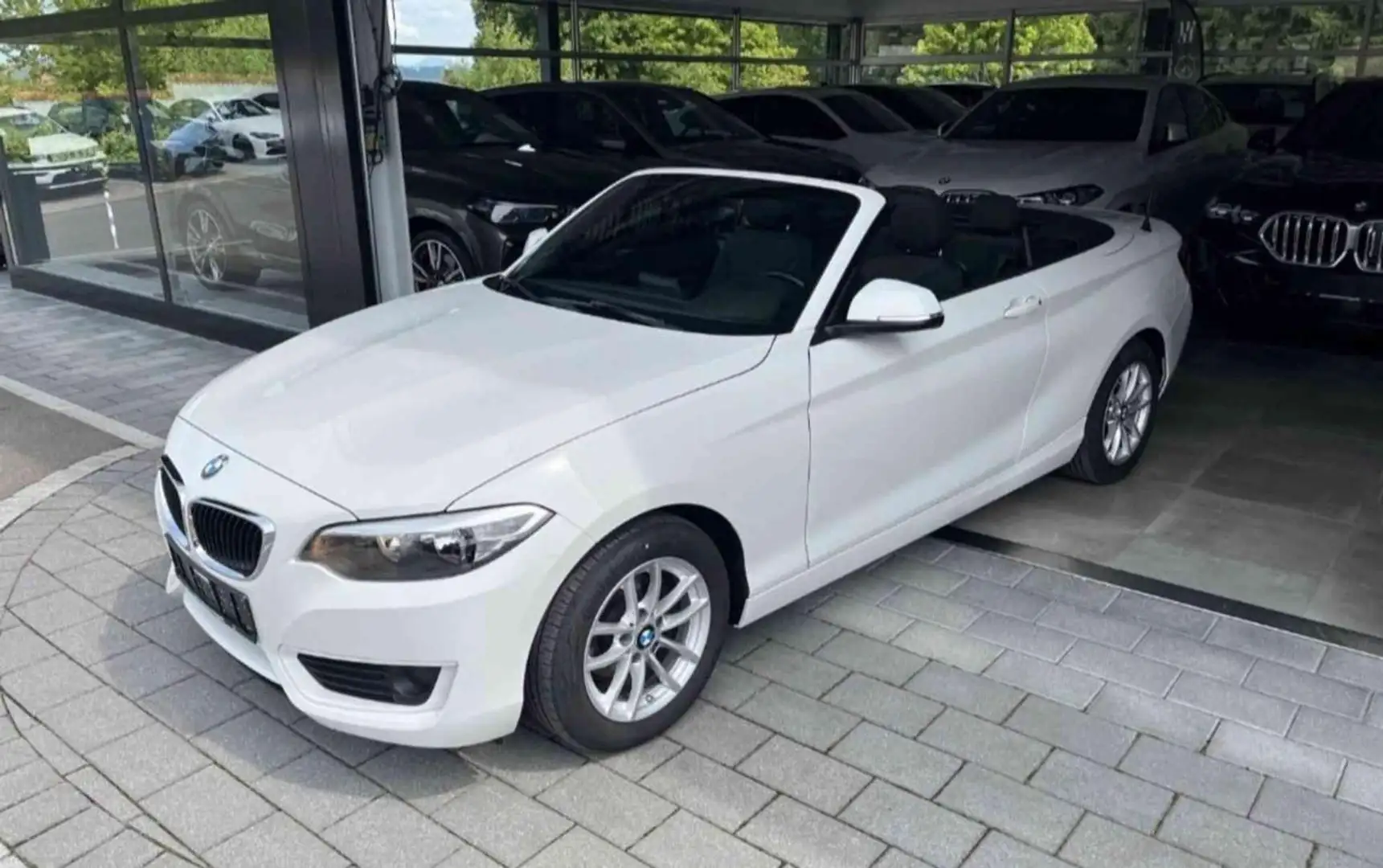 BMW 218 i Cabrio Alb - 1