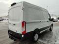 Ford Transit Transit Kasten 2,0 EcoBlue L2H2 350 Trend Weiß - thumbnail 5