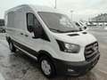 Ford Transit Transit Kasten 2,0 EcoBlue L2H2 350 Trend Weiß - thumbnail 6