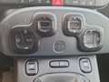 Fiat Panda Panda 1.3 MJT 95 CV S&S 4x4 Silber - thumbnail 8